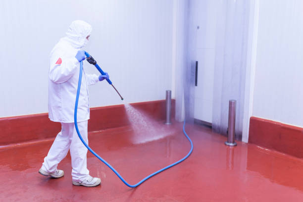 Best Rust Removal  in Watertown, NY